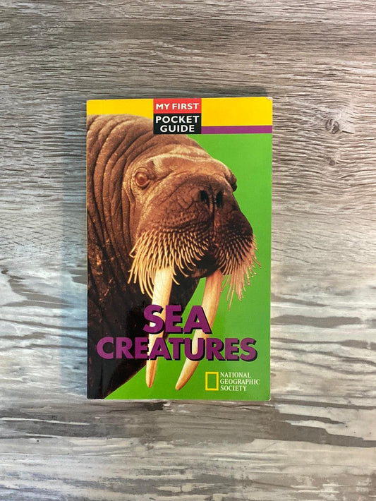 Sea Creatures: My First Pocket Guide by Frank H Talbot