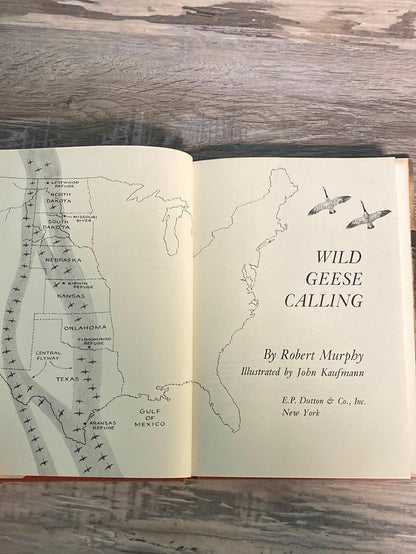 Wild Geese Calling by Robert Murphy