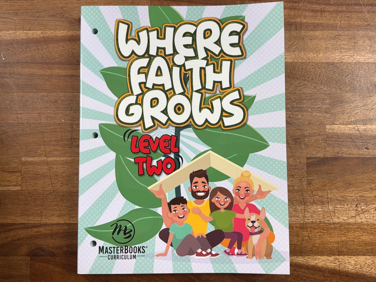 MasterBooks Where Faith Grows Level Two Curriculum