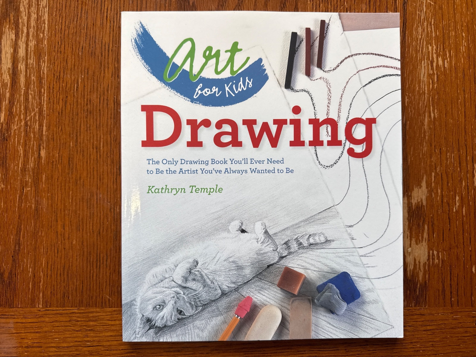 Art for Kids Drawing by Kathryn Temple - Sterling