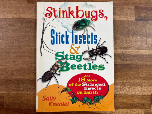 Stinkbugs, Stick Insects & Stag Beetles - Sally Kneidel