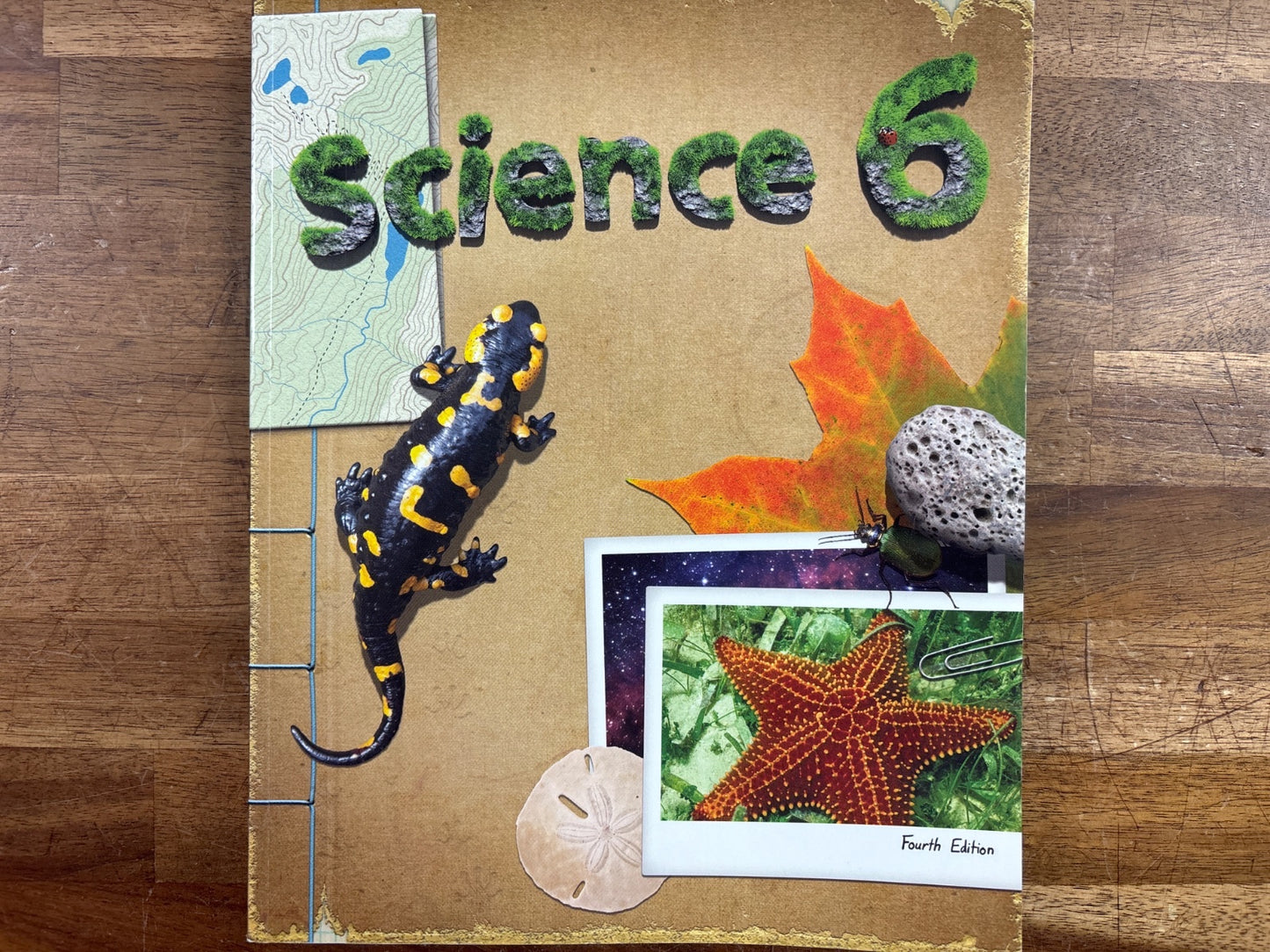 BJU Press Science 6 Student Textbook Fourth Edition