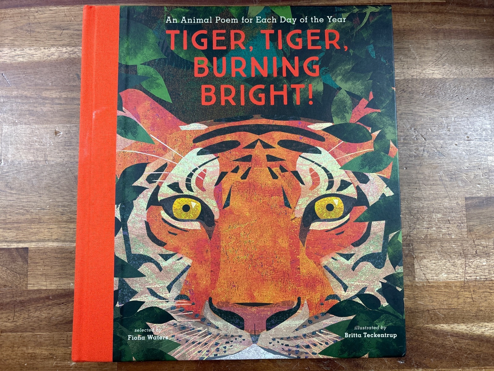 Tiger, Tiger, Burning Bright! Animal Poem for Each Day — front cover