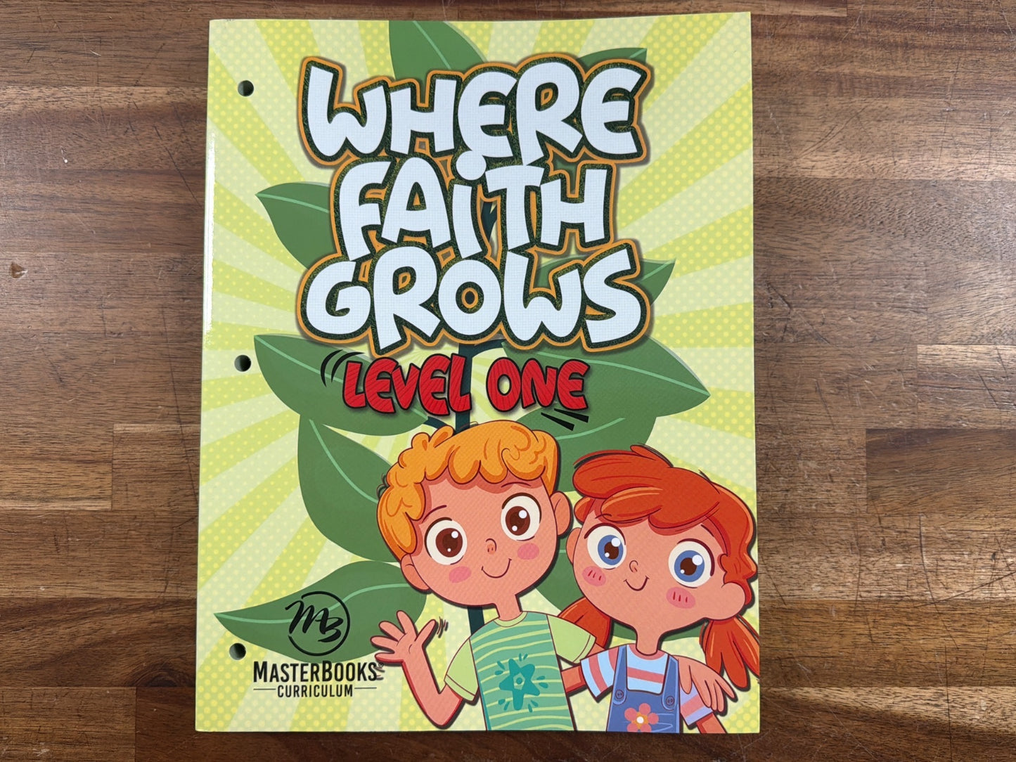 MasterBooks Where Faith Grows Level One Curriculum
