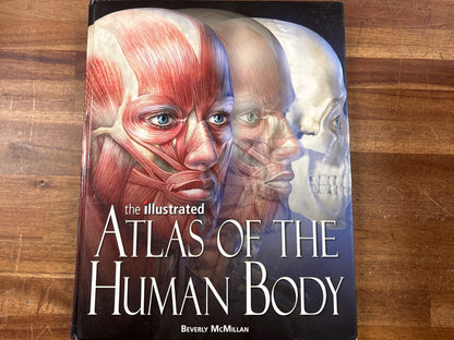 The Illustrated Atlas of the Human Body by Beverly McMillan