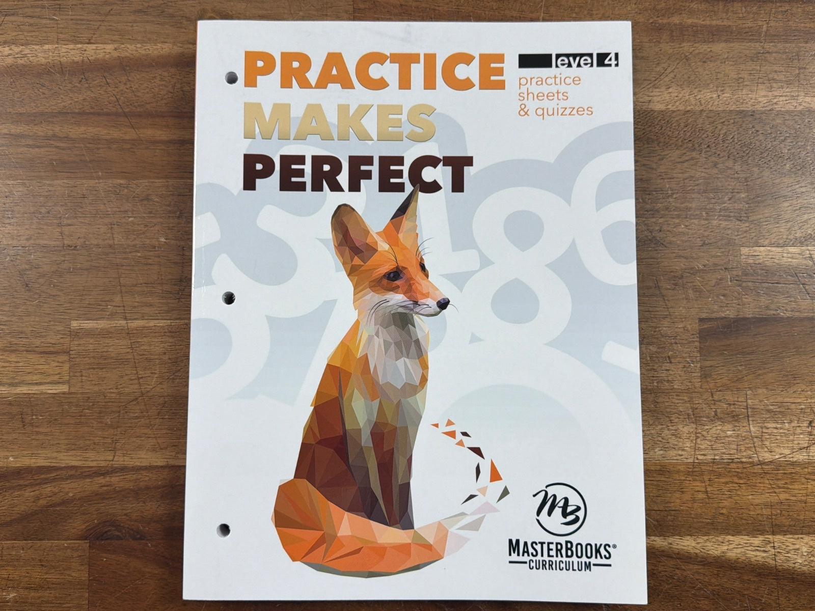 MasterBooks Practice Makes Perfect Level 4 Math Sheets