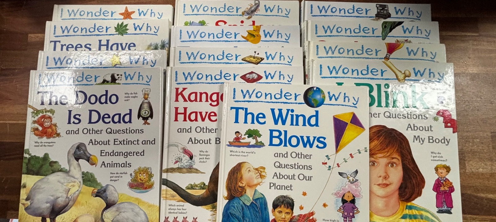 I Wonder Why Series 13-Book Set Kingfisher Nonfiction Lot — front cover