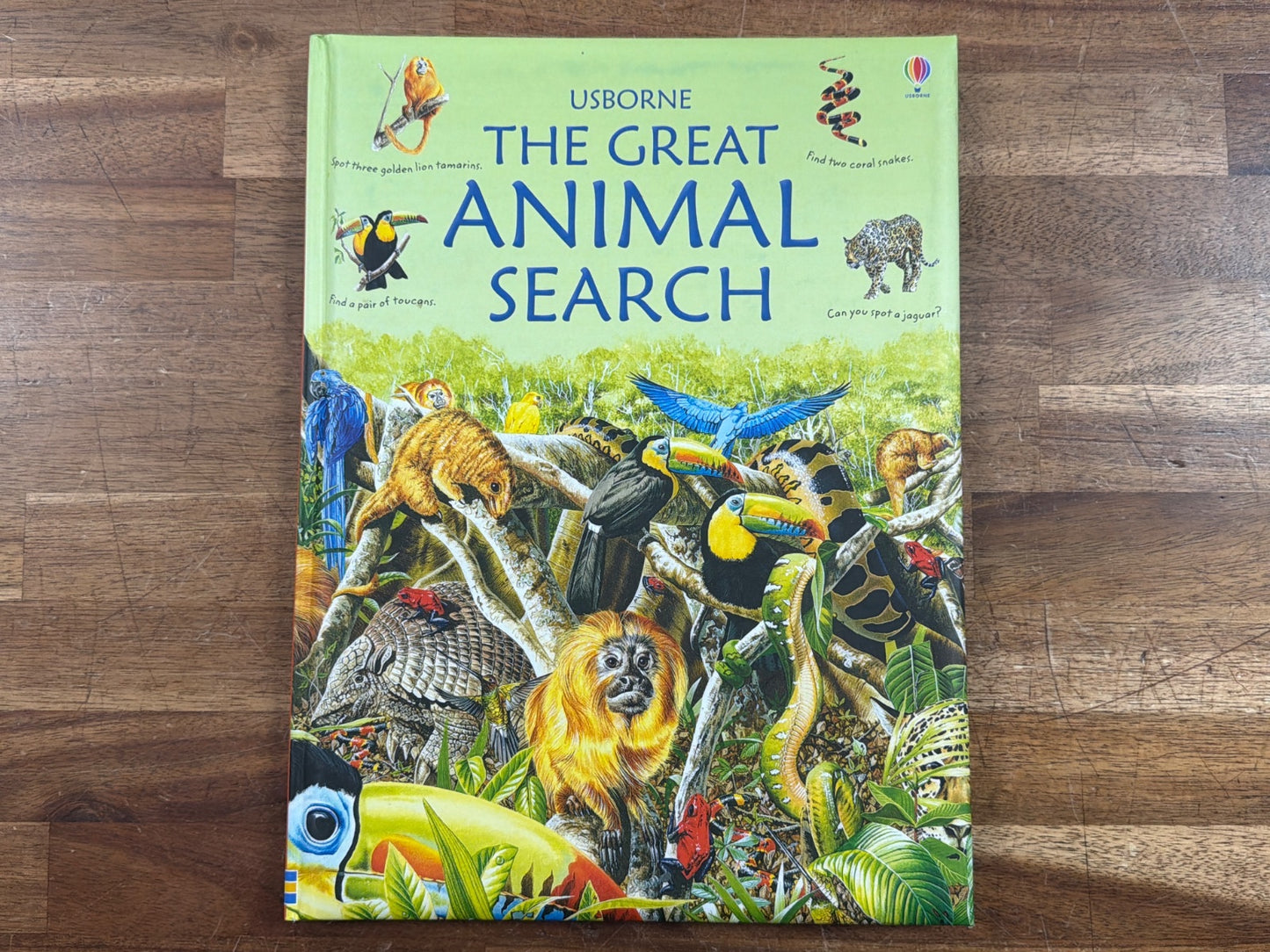 Usborne the Great Animal Search Hardcover