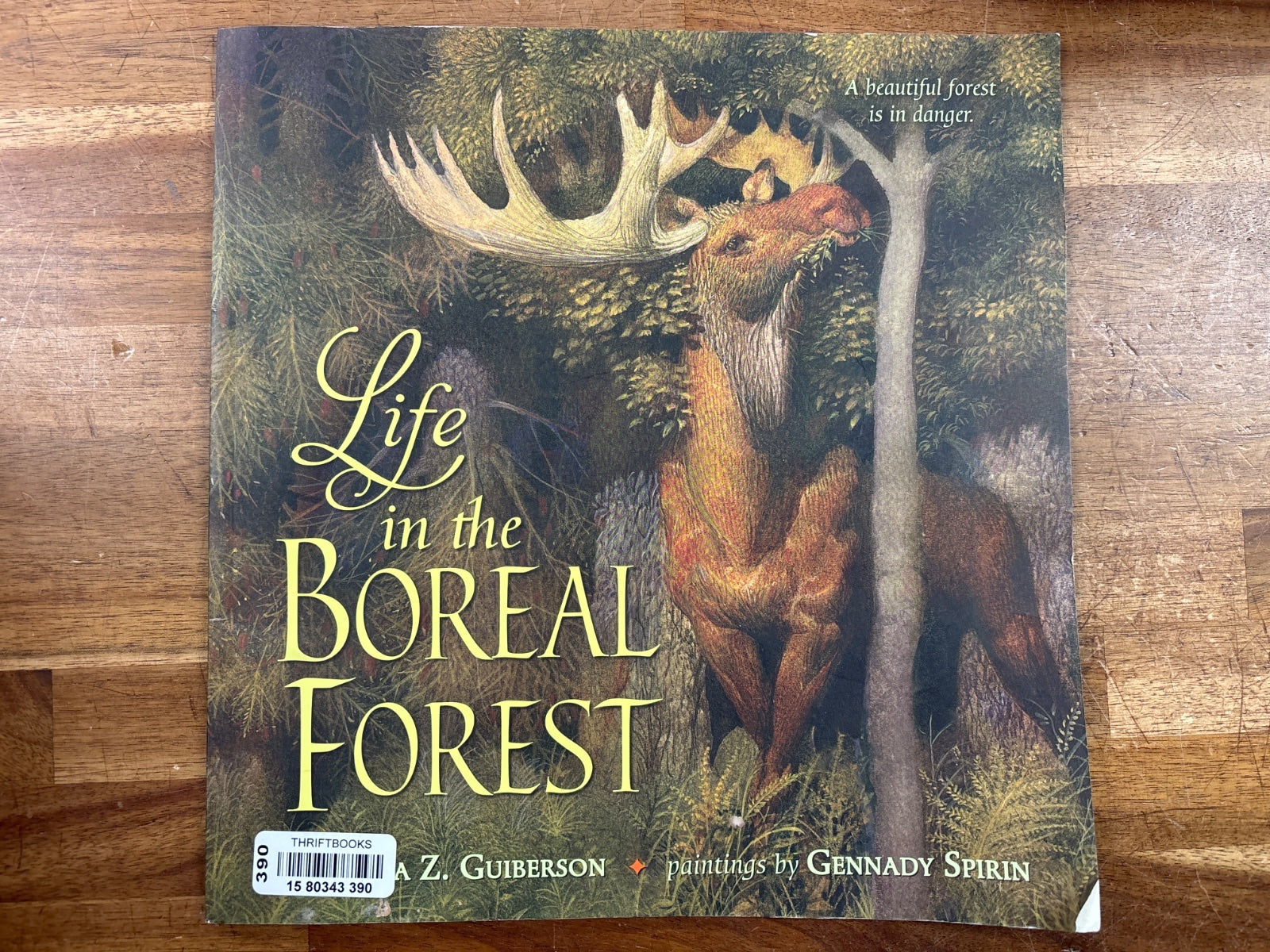Life in the Boreal Forest by Barbara Z. Guiberson Paperback — front cover