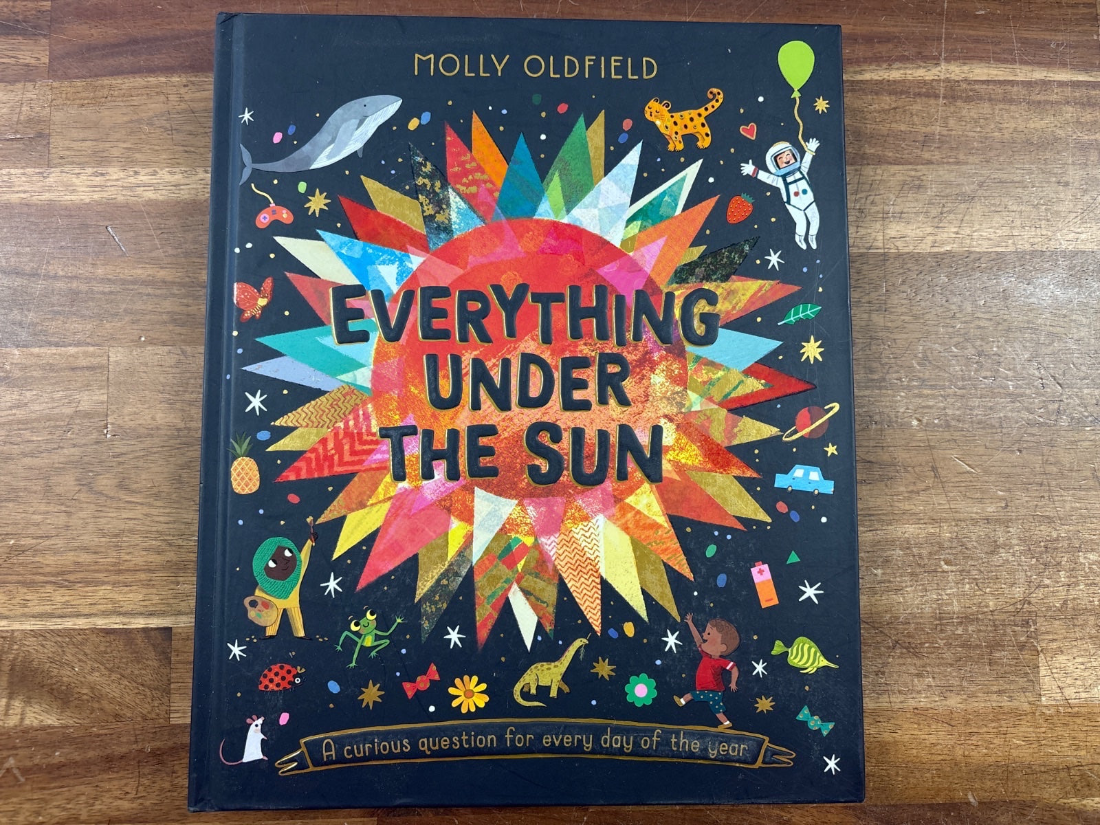Everything Under the Sun by Molly Oldfield - Curious Questions — front cover