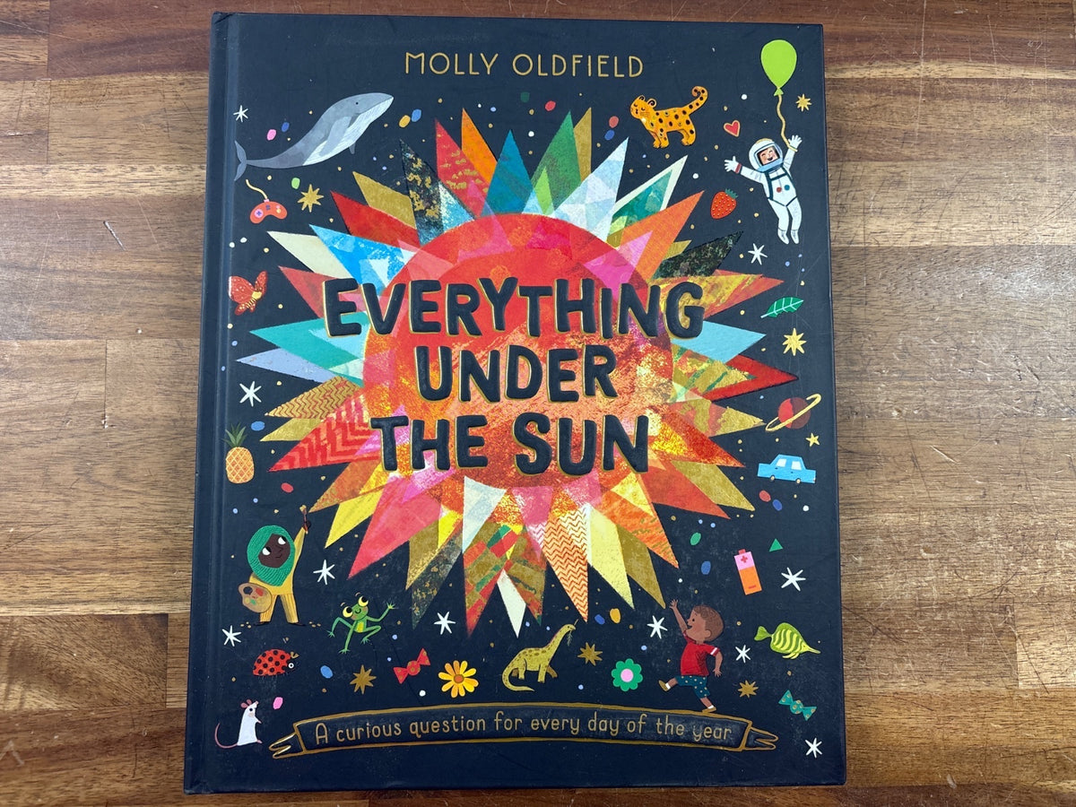 Everything Under the Sun by Molly Oldfield - Curious Questions — front cover