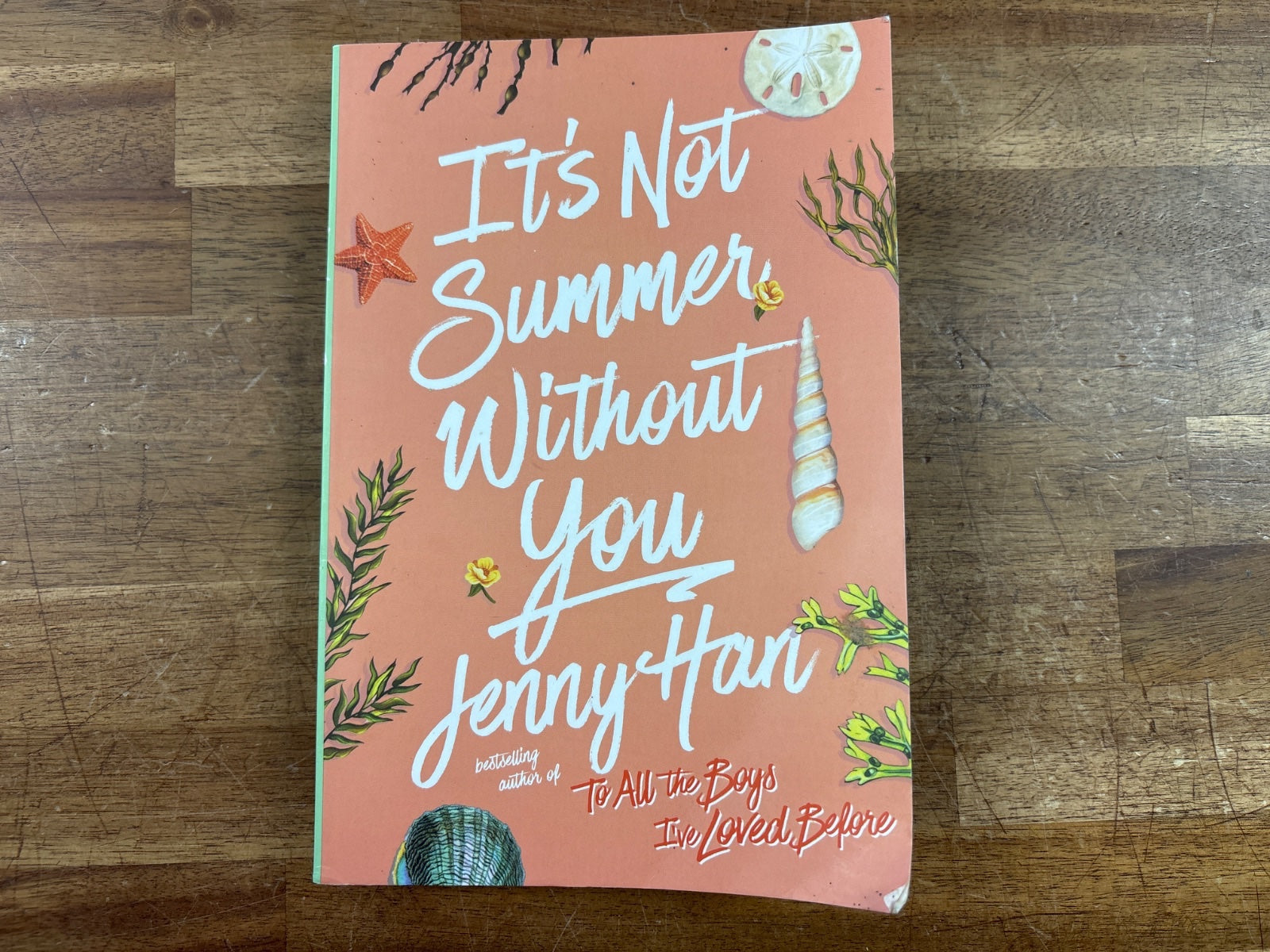 It's Not Summer Without You by Jenny Han Paperback — front cover