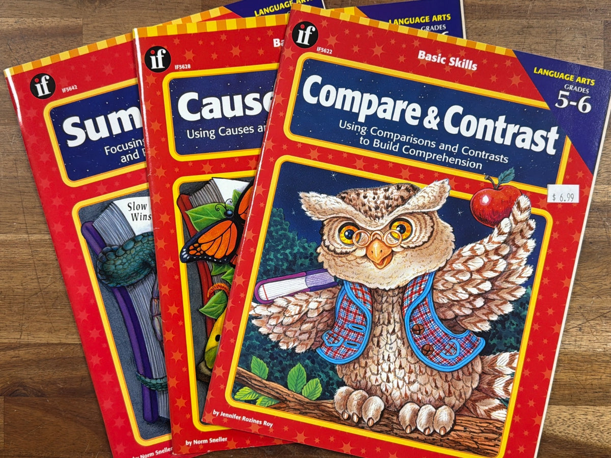 Instructional Fair Language Arts Workbooks Grades 5-6 Set of 3