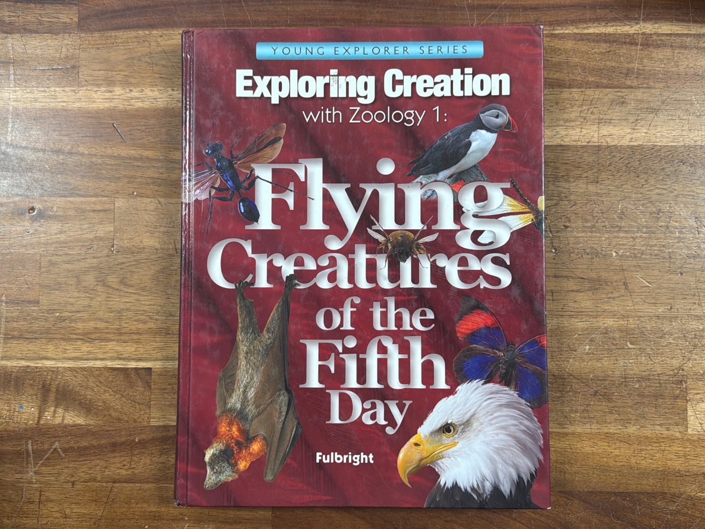 Apologia Exploring Creation with Zoology 1 Flying Creatures