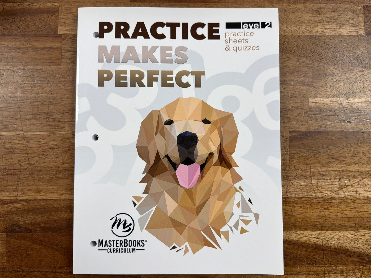 MasterBooks Practice Makes Perfect Math Level 2 Workbook