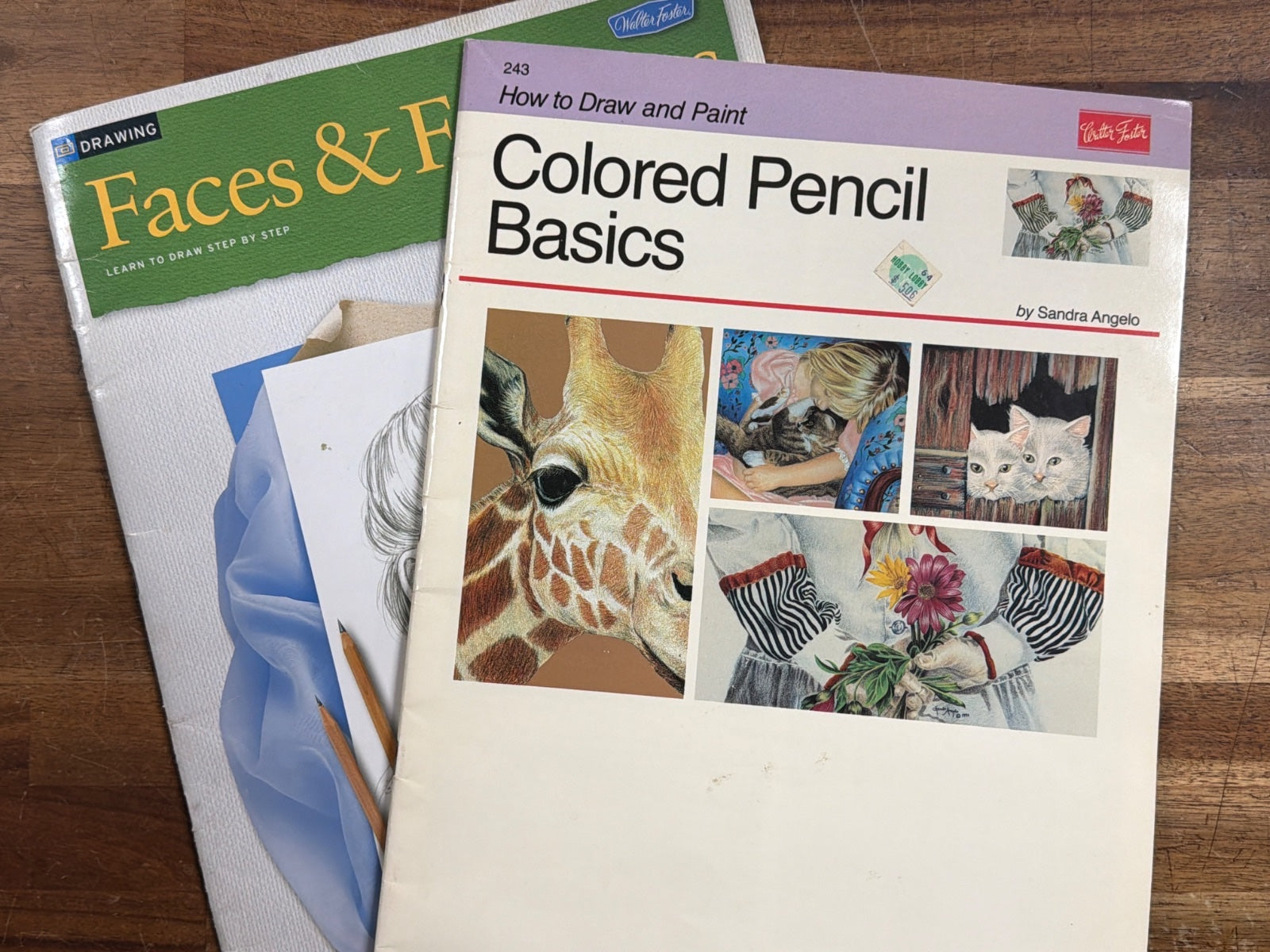 Walter Foster Faces & Colored Pencil Basics Drawing Set