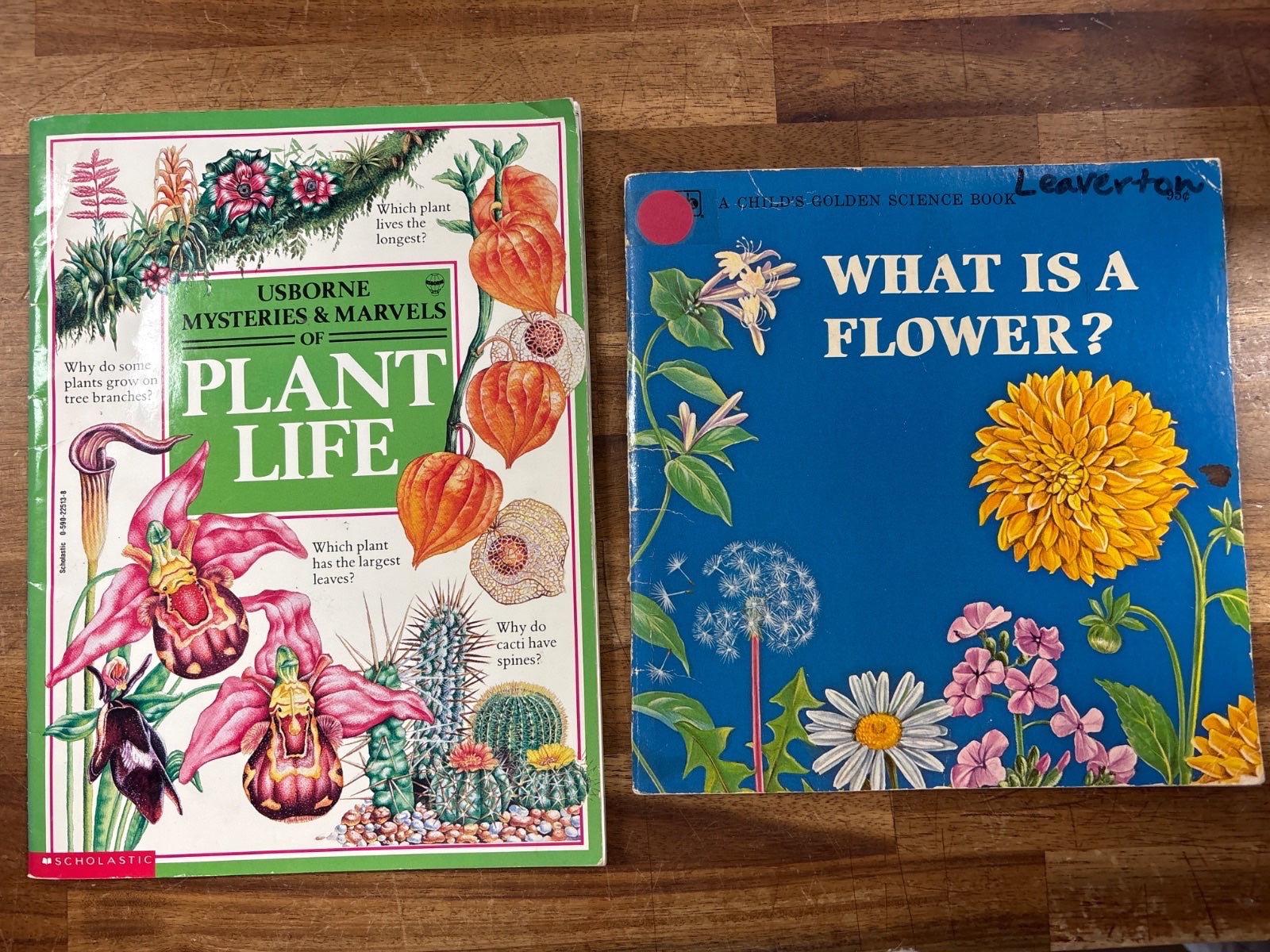 Usborne Plant Life & What Is a Flower? Science Book Set