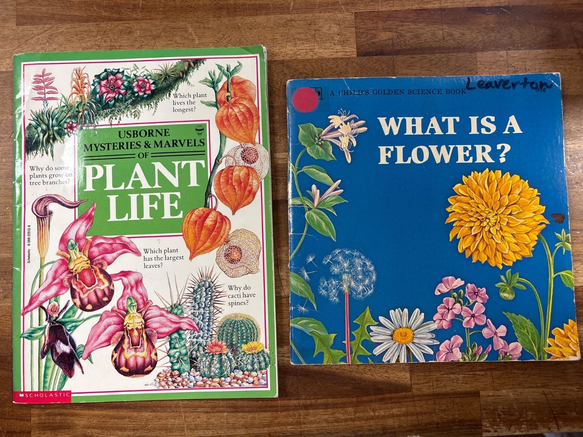 Usborne Plant Life & What Is a Flower? Science Book Set