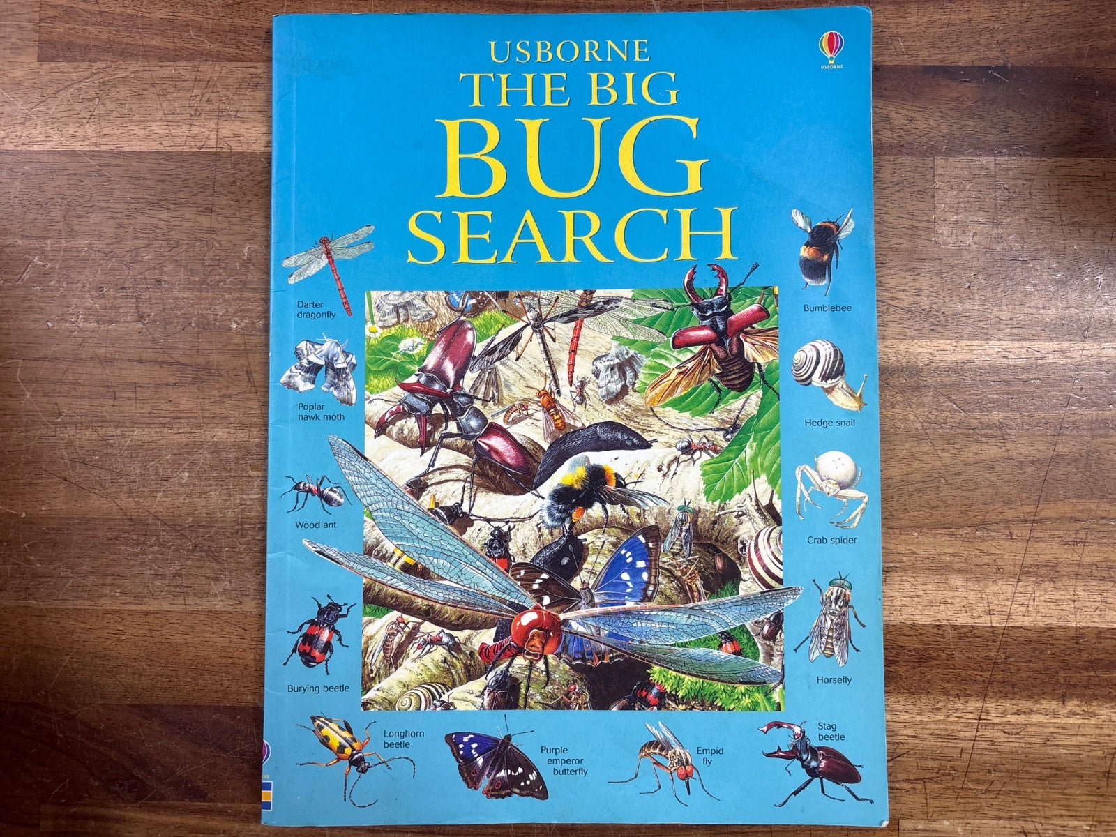 Usborne the Big Bug Search - Insects & Spiders Puzzle Book