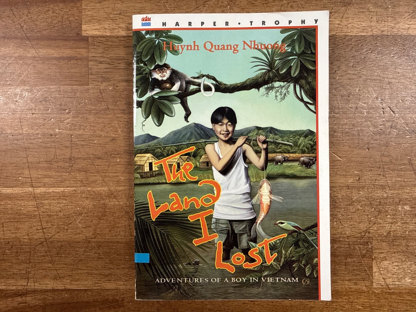 The Land I Lost: Adventures of a Boy in Vietnam - Nhuong