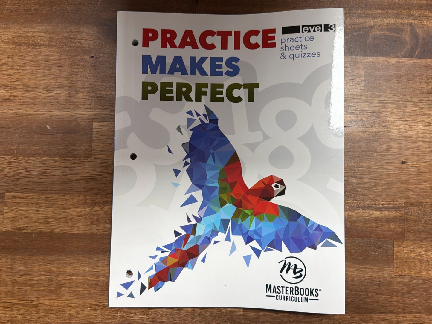 MasterBooks Practice Makes Perfect Math Level 3 Sheets & Quizzes