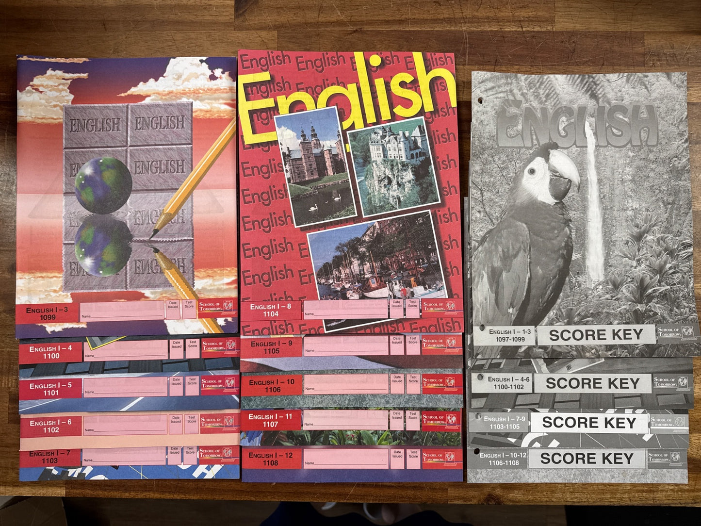 ACE PACEs English 1099-1108 & Key Set