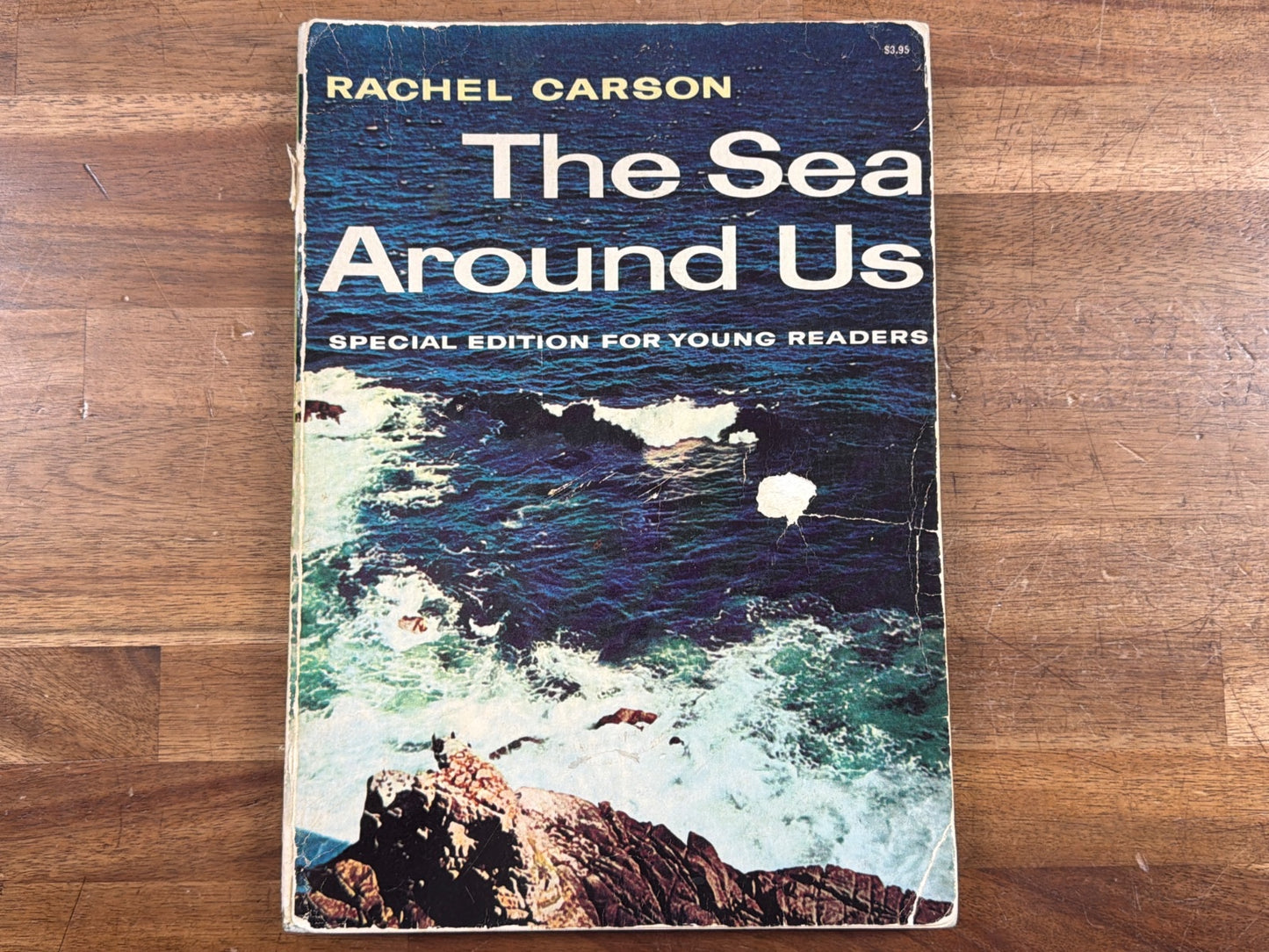 Rachel Carson the Sea Around Us Young Readers Edition