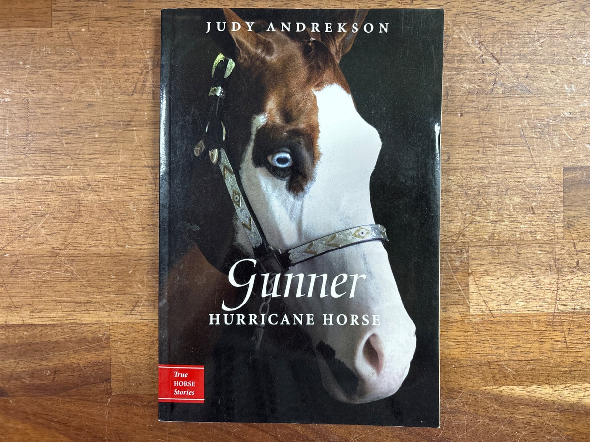 Gunner: Hurricane Horse by Judy Andrekson - True Horse Stories — front cover