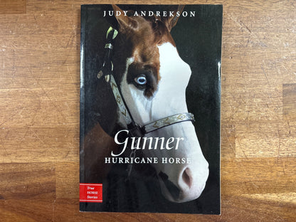 Gunner: Hurricane Horse by Judy Andrekson - True Horse Stories — front cover