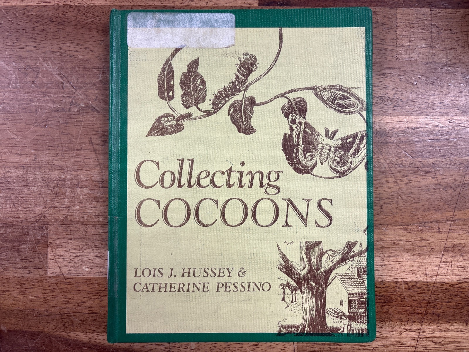 Collecting Cocoons by Hussey & Pessino Hardcover