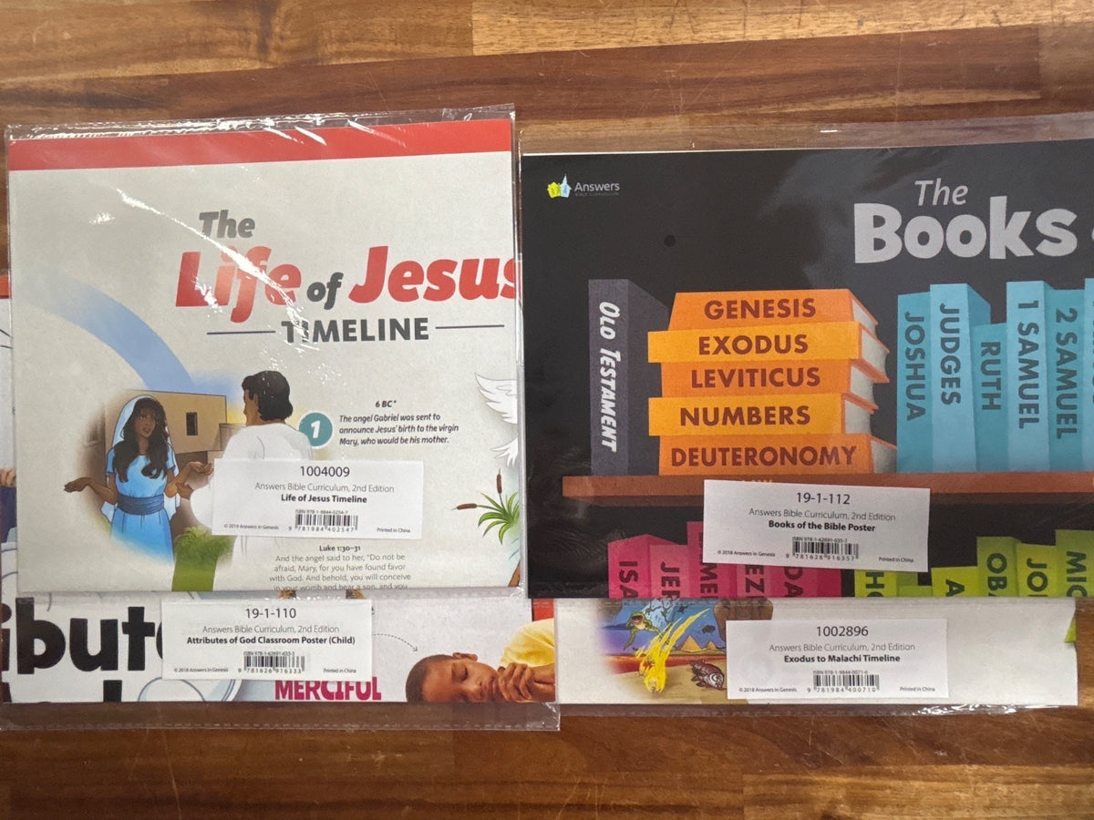 Answers in Genesis Bible Curriculum — New