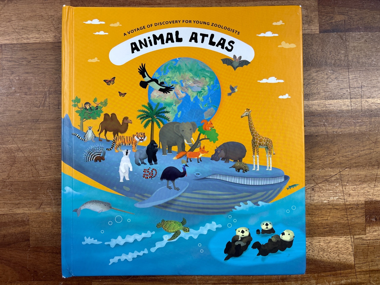 Animal Atlas: a Voyage of Discovery for Young Zoologists HC