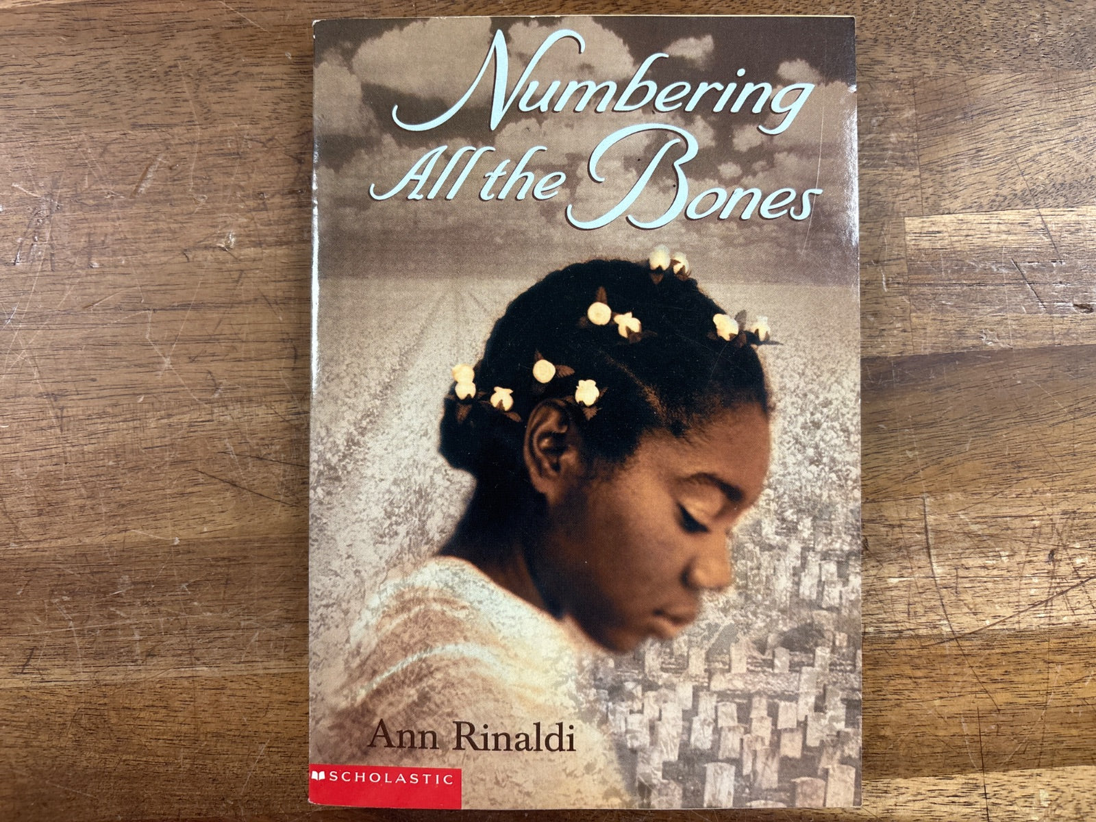 Numbering All the Bones by Ann Rinaldi - Scholastic