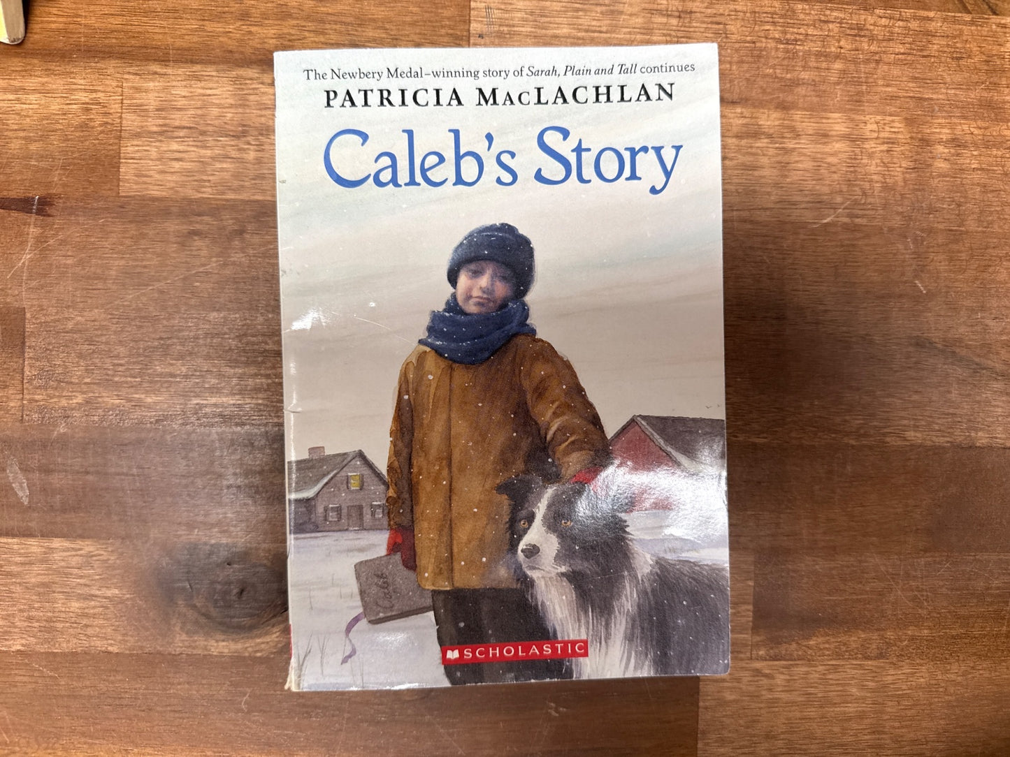 Caleb's Story by Patricia MacLachlan Literature Circle Ed.
