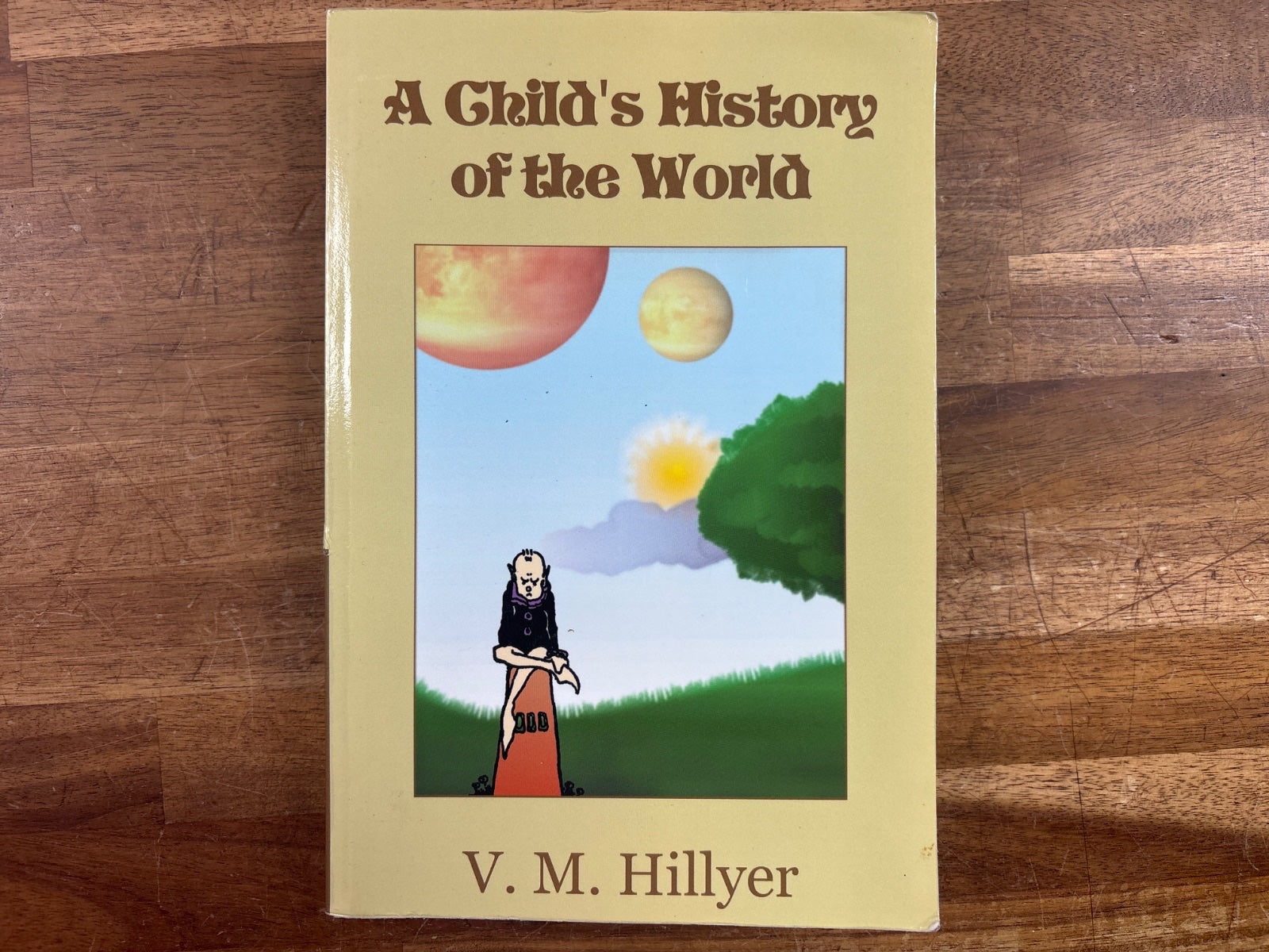 A Child's History of the World by V.M. Hillyer Paperback