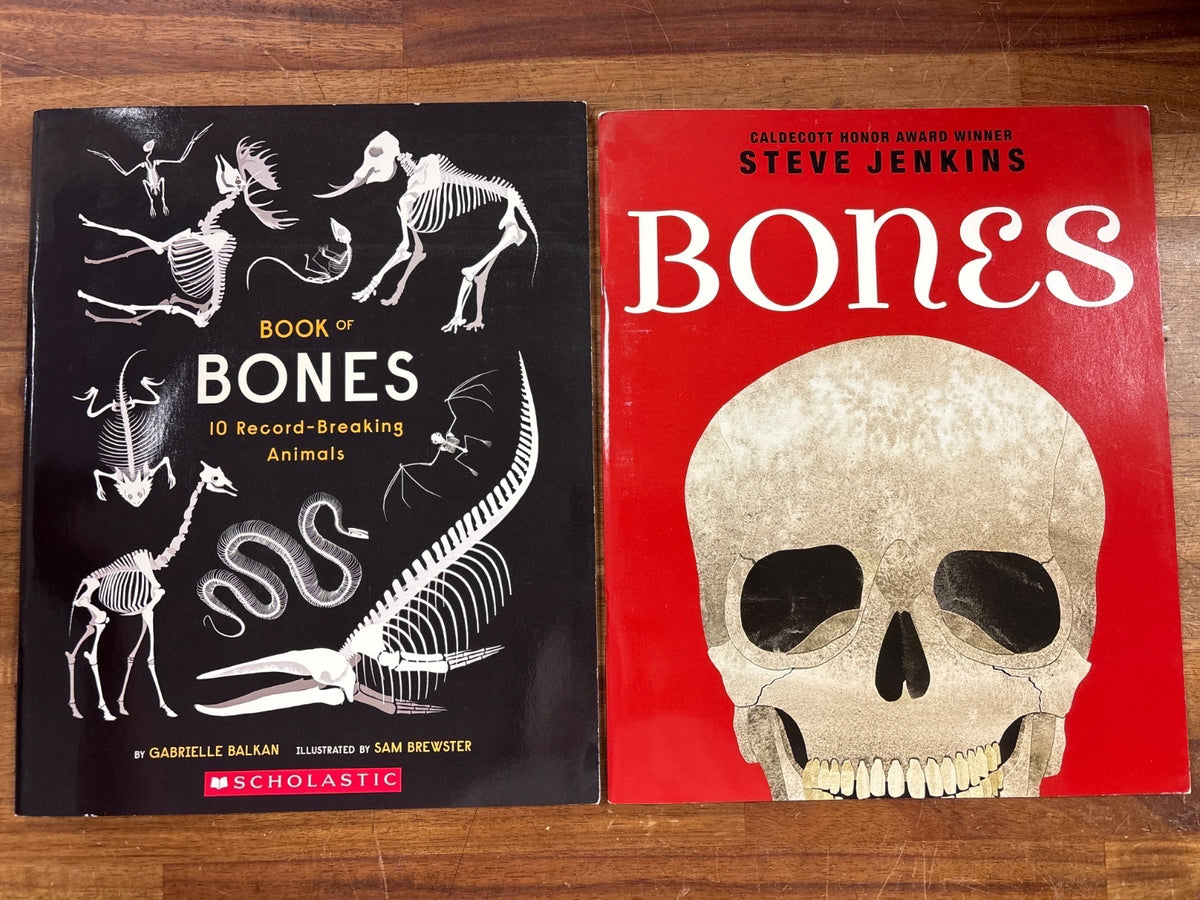 Book of Bones & Bones Skeletons How They Work Set — front cover