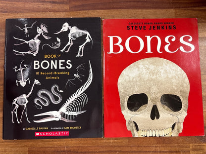 Book of Bones & Bones Skeletons How They Work Set — front cover