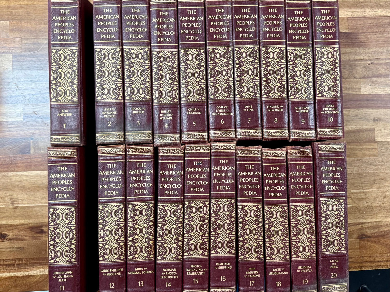 The American Peoples Encyclopedia Complete 20-Vol Set Leather HC — front cover