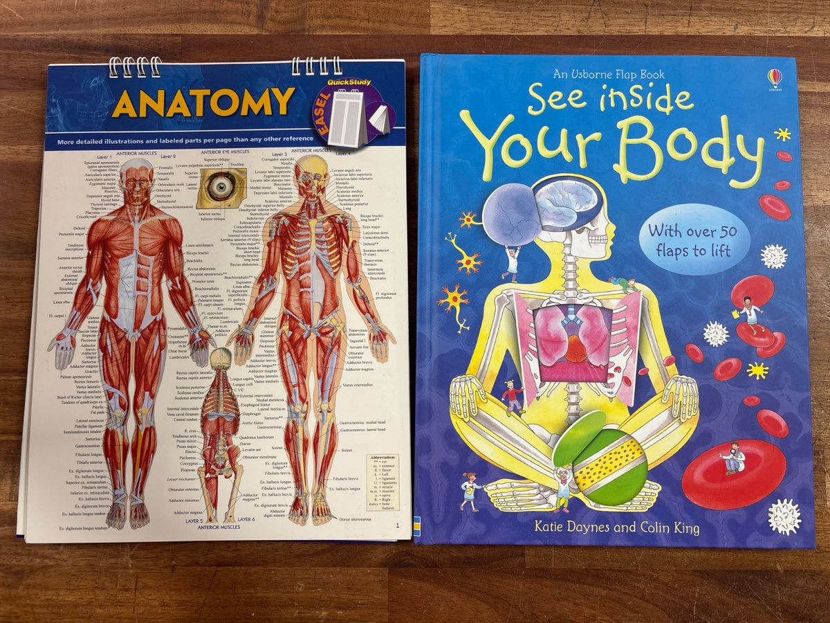 Anatomy QuickStudy Easel & Usborne See Inside Your Body Set — front cover