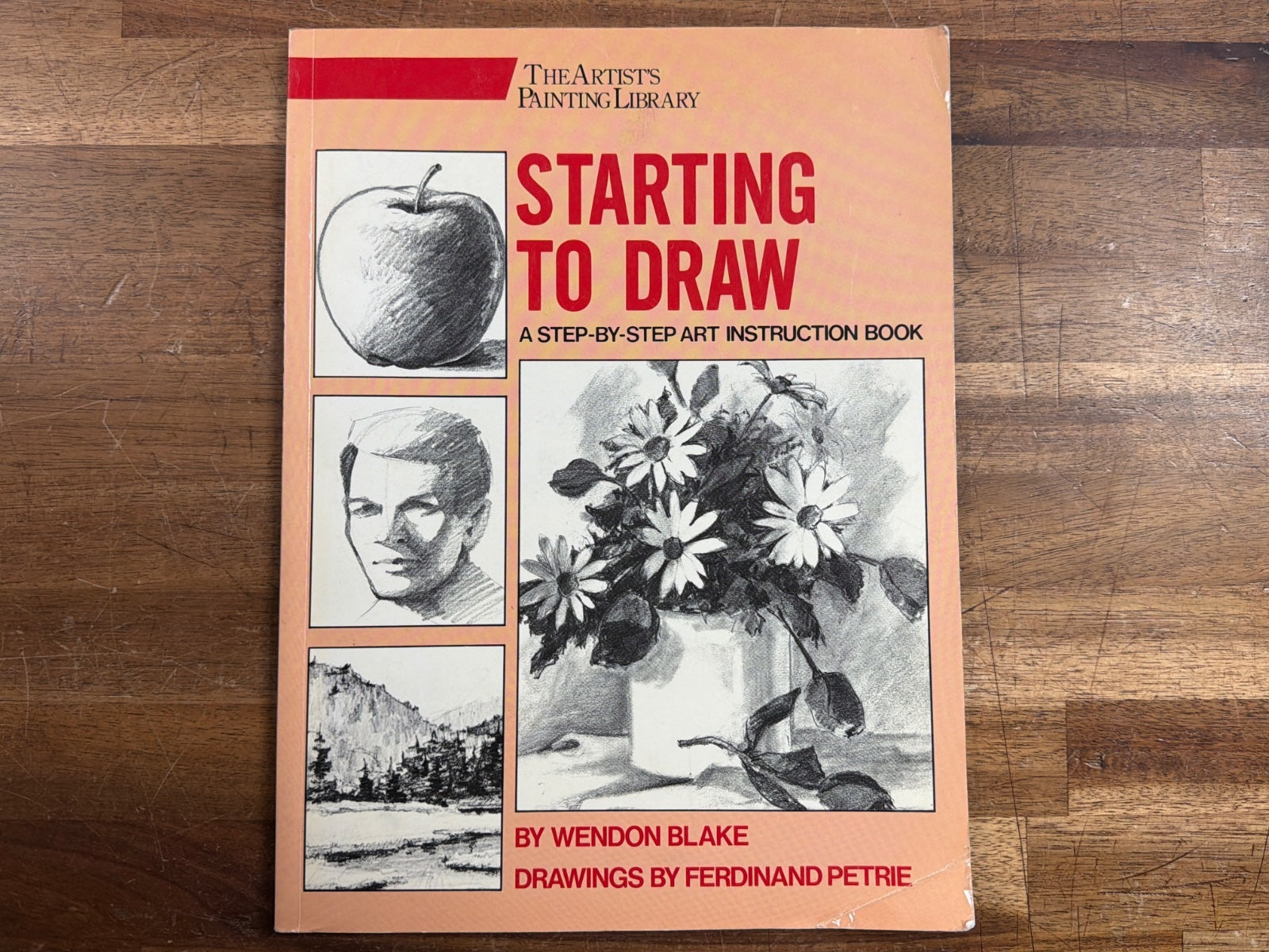 Starting to Draw: Step-by-Step Art Instruction Book