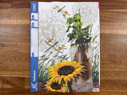 ACE PACEs Science 4th Ed