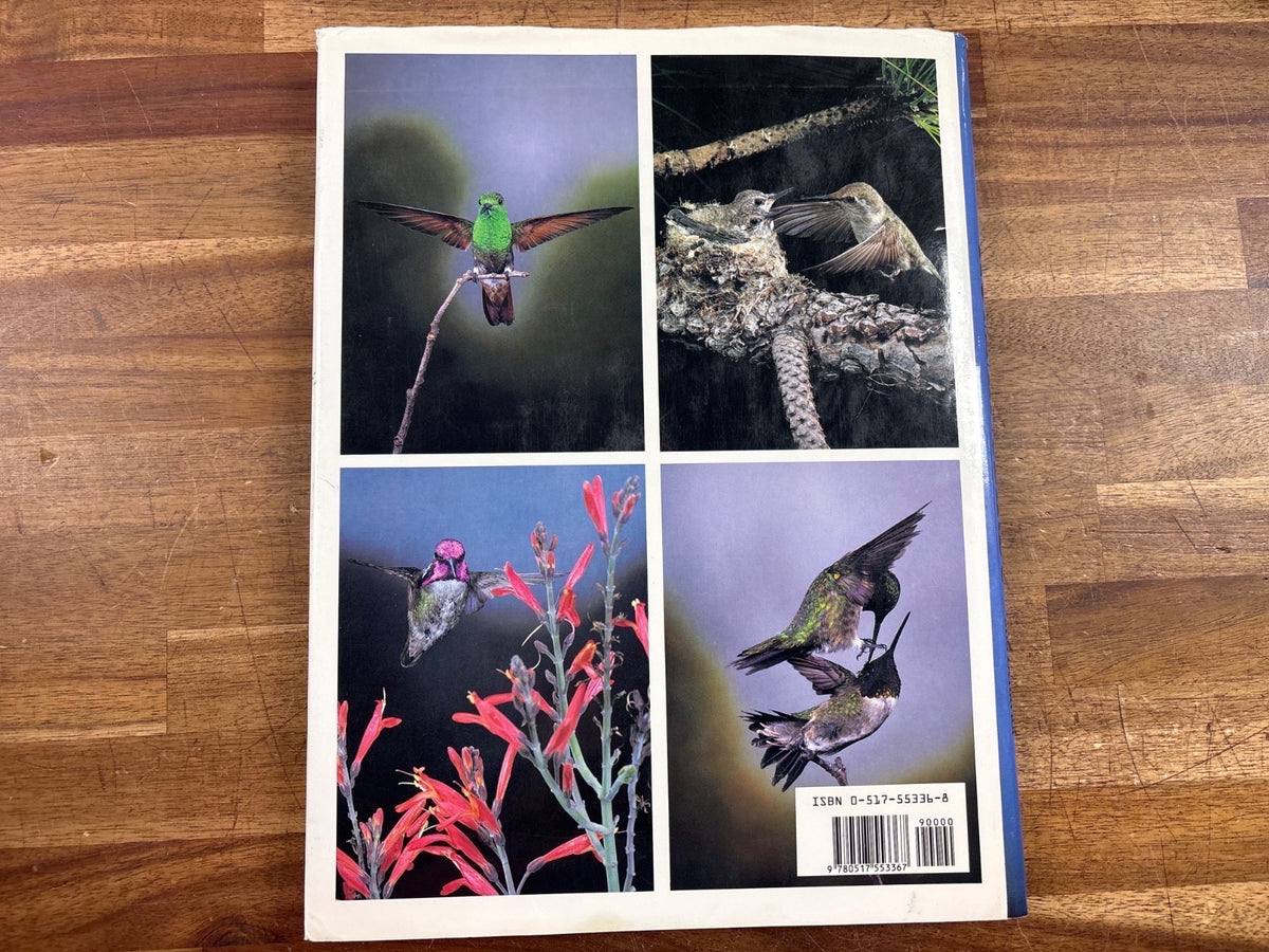 Hummingbirds Their Life and Behavior Tyrrell Photo Study — photo 2 of 2