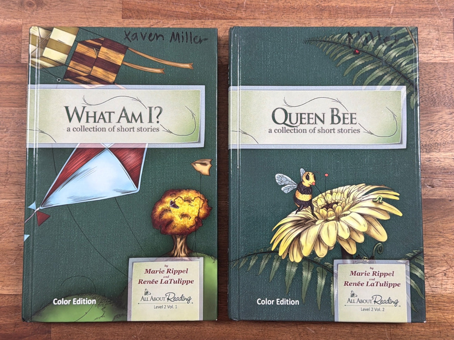 All About Reading Level 2 Teacher's Manual & Readers Set