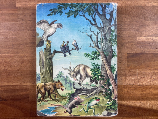 Aesop's Fables Illustrated Hardcover Children's Book