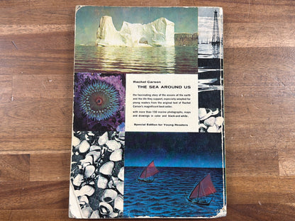 Rachel Carson the Sea Around Us Young Readers Edition