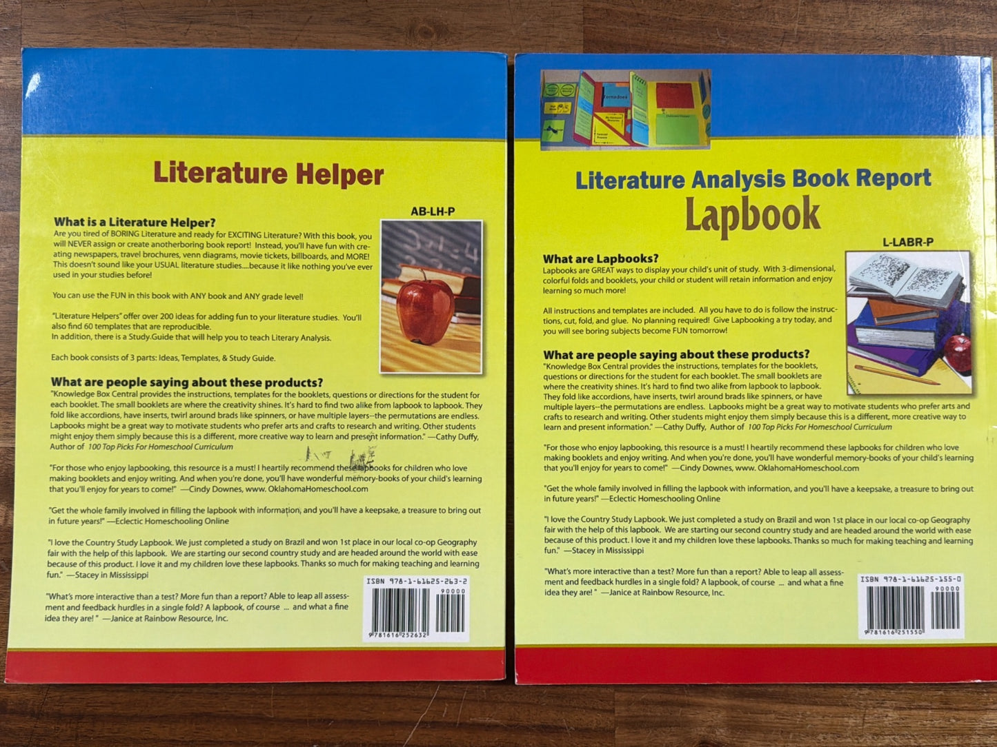 Knowledge Box Central Literature Helper & Lapbook Set