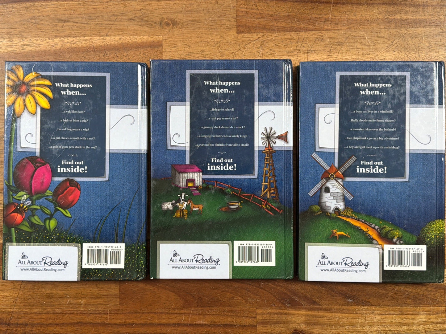 All About Reading Level 1 Vol 1-3 Second Edition Set