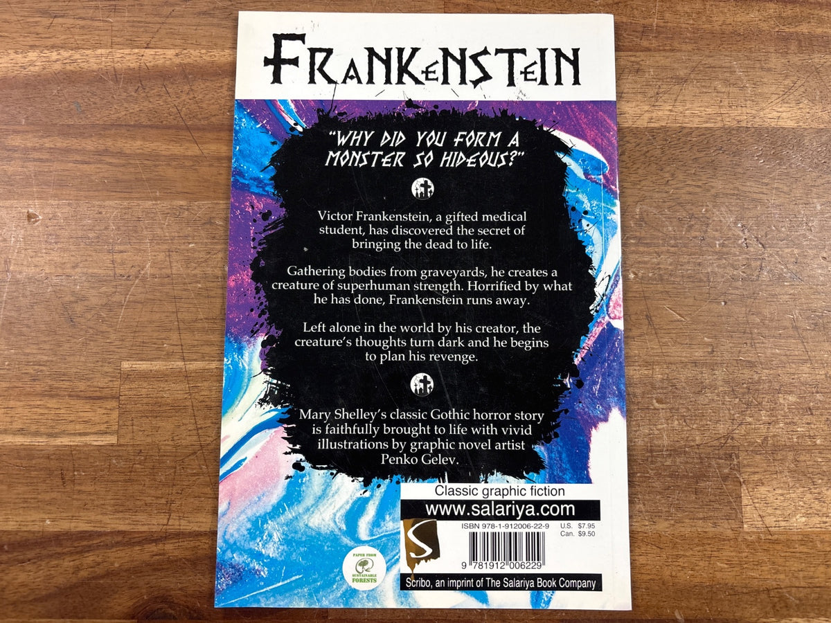 Frankenstein Graphic Novel - Mary Shelley, Illustrated Classic — photo 2 of 2