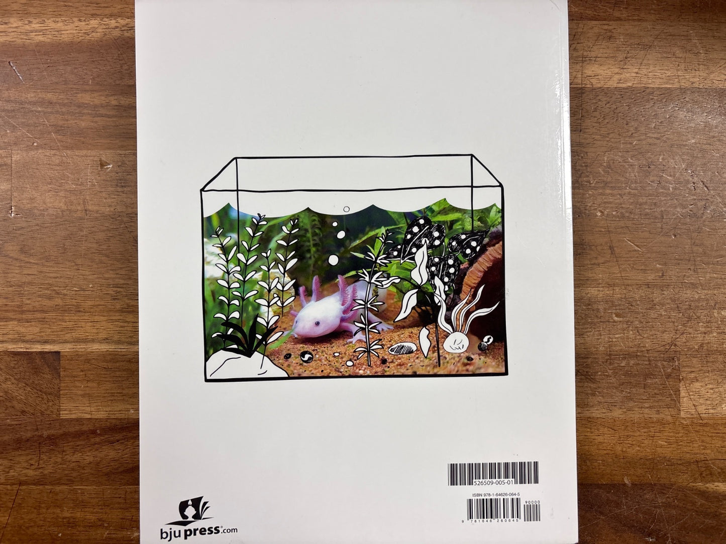 BJU Press Science 4 Student Text Fifth Edition