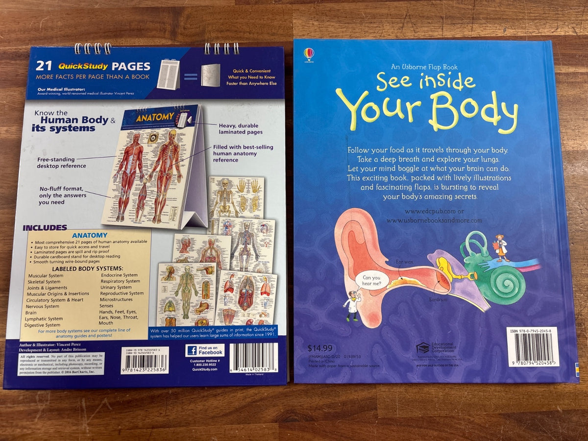 Anatomy QuickStudy Easel & Usborne See Inside Your Body Set — photo 2 of 2